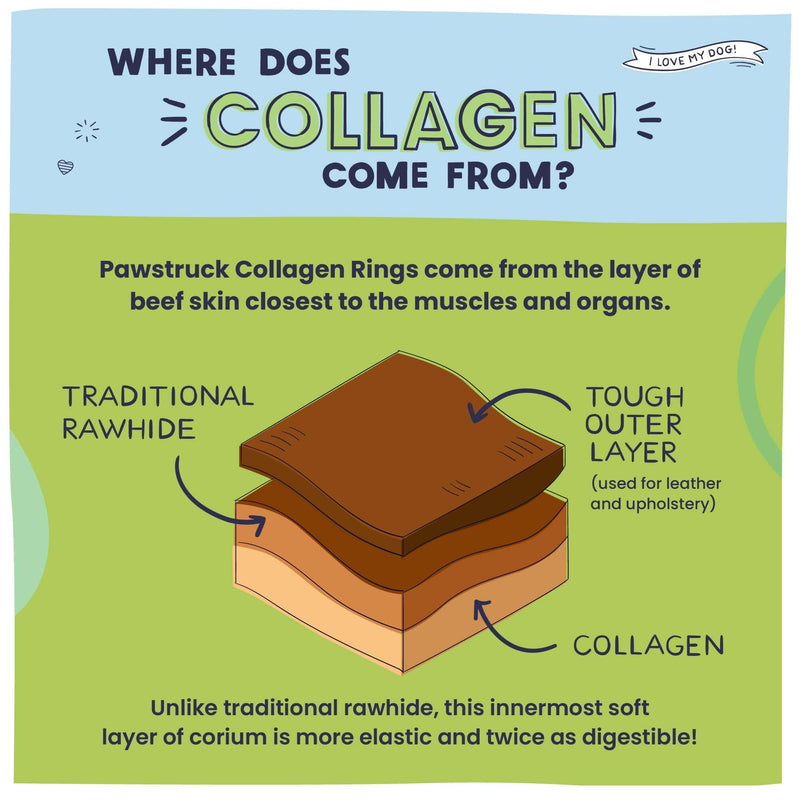 An infographic explaining Collagen comes from the layer of beef skin closest to the muscle and organs. Collagen is unlike traditional rawhide, it is the innermost soft layer of corium and more elastic and digestible