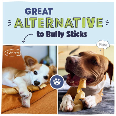 Image of two dogs chewing on Collagen Springs with text that says Great alternative to Bully Sticks