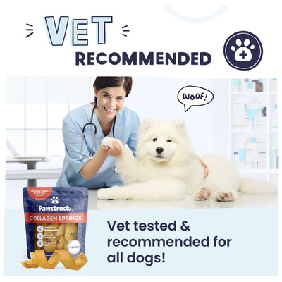 Image of woman and fluffy white puppy with text stating vet recommended and tested for all dogs.