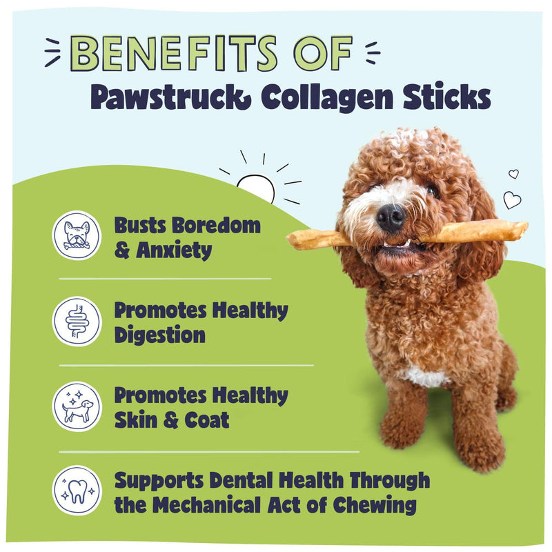 picture of dog with collagen stick and the list of benefits: Boredom & anxiety busting, Promotes Healthy Digestion, Promotes Healthy skin and coat, supports dental health through the mechanical act of chewing.