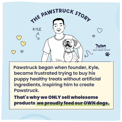 The owner Kyle and his dog Tyson's story of founding Pawstruck.