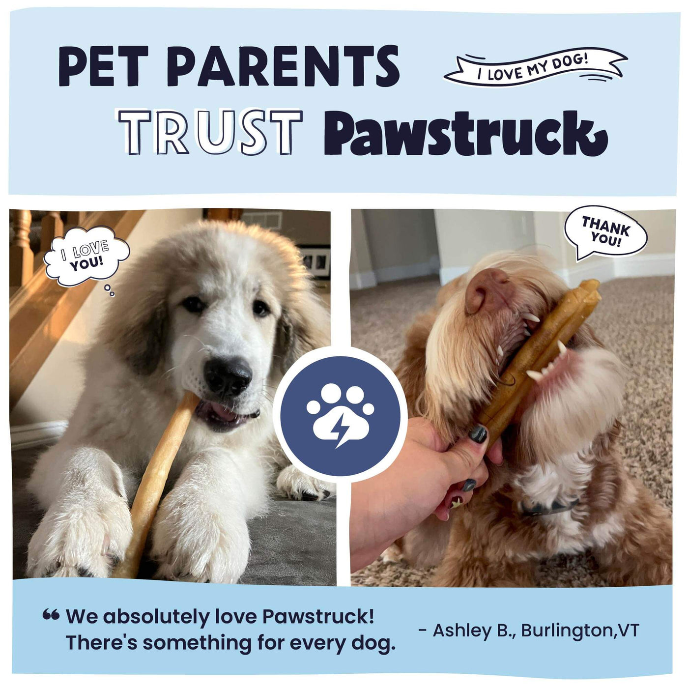Collagen and Jerky Braid - Why Pet Parent Trust Pawstruck