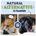 Advertisement with 2 dogs licking cow hooves expressing its a natural alternative to rawhide
