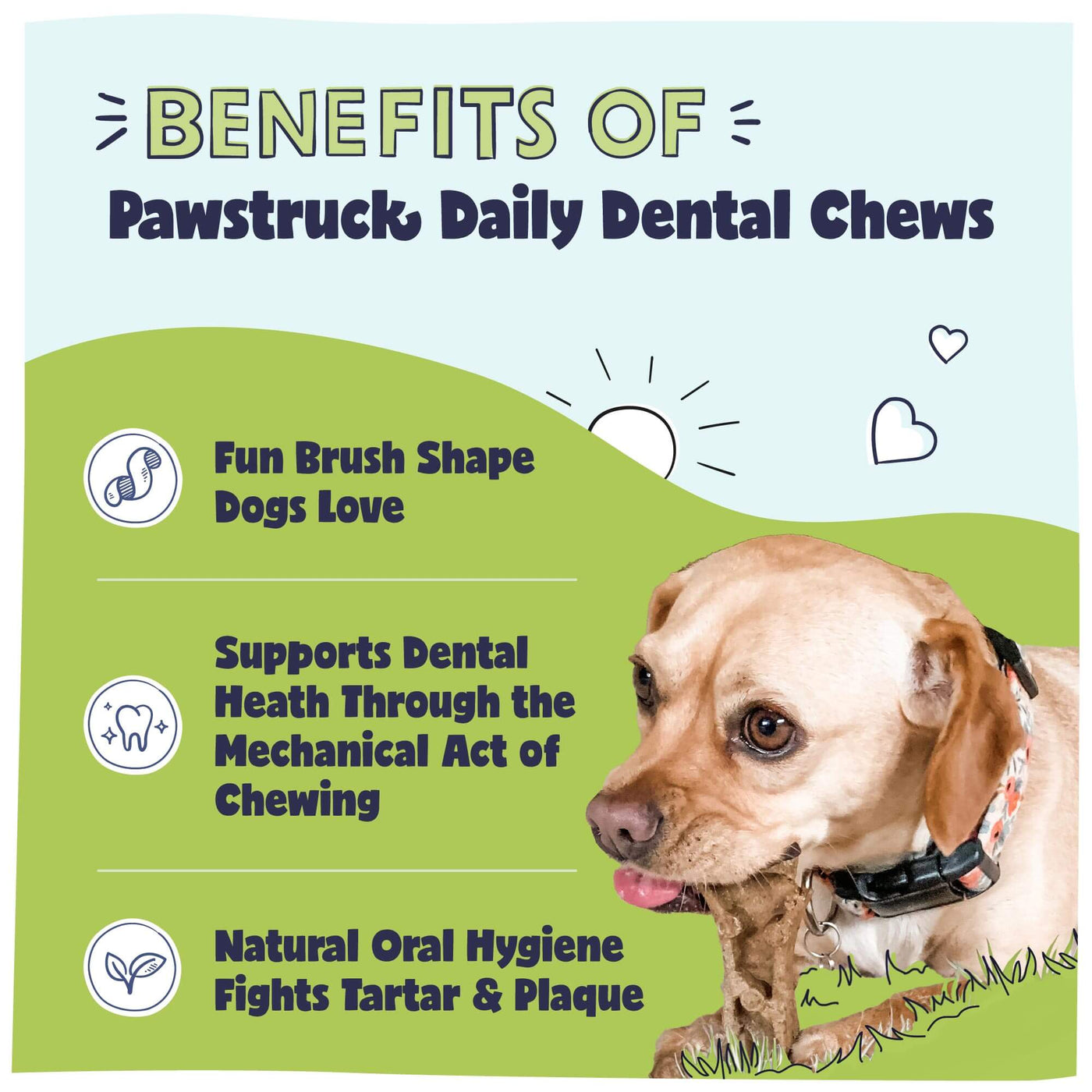 Tiny Tails & Tasty Trail Stocking Stuffer Bundle - Benefits 2