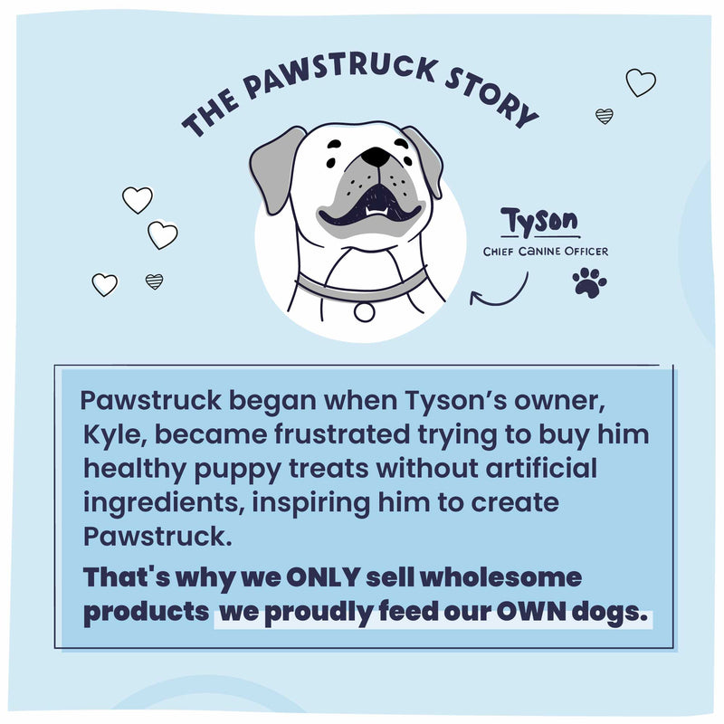 Tyson - The Pawstruck Story