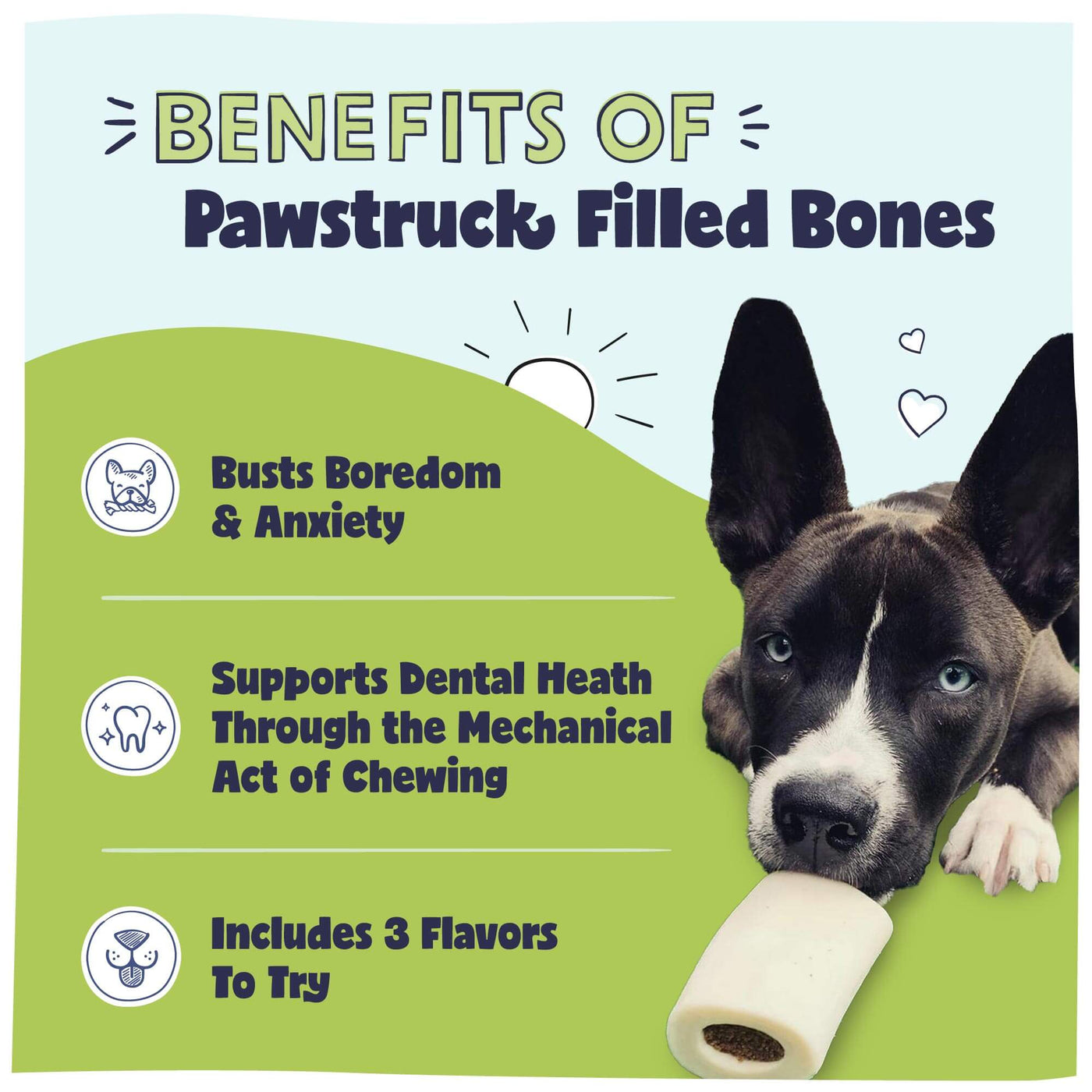 Dark-colored dog with white markings chewing a filled bone on green background with benefits text listing boredom relief, dental health, and 3 flavors