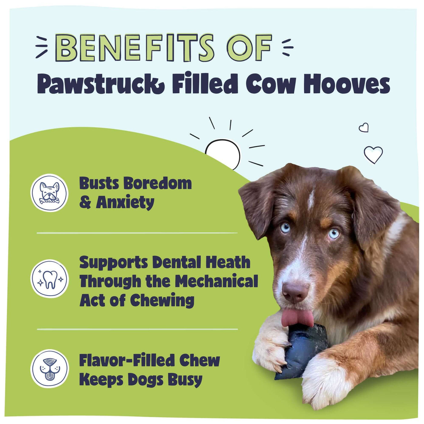 Filled Cow Hooves - Benefits of Filled Cow Hooves