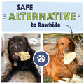 Advertisement with two dogs with cow ears