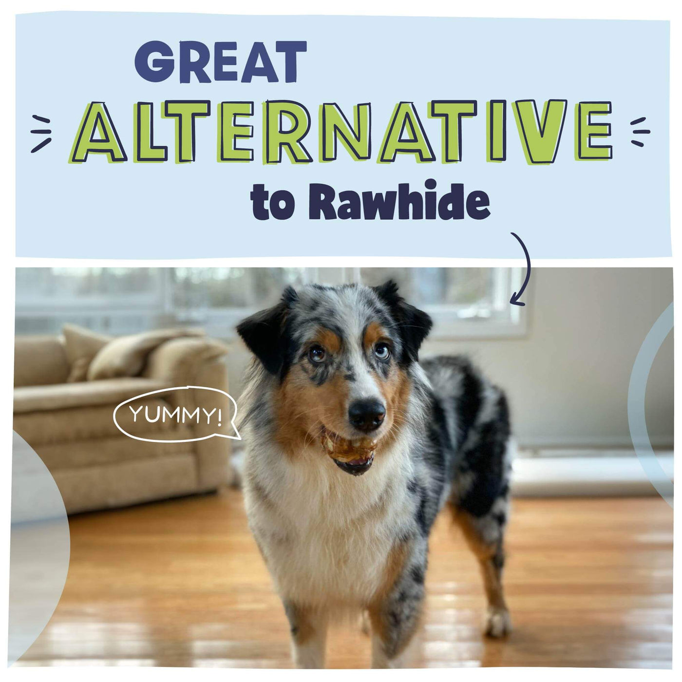 Great alternative to rawhide