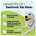 Dog with a chew toy and list of benefits for Pawstruck Yak Chews on a green and blue background