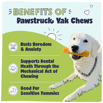 Medium Himalayan Yak Dog Chew, 3-4 oz.