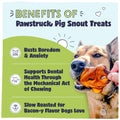Advertisement on the benefits of pig snout treat and has a dog eating a pig snout