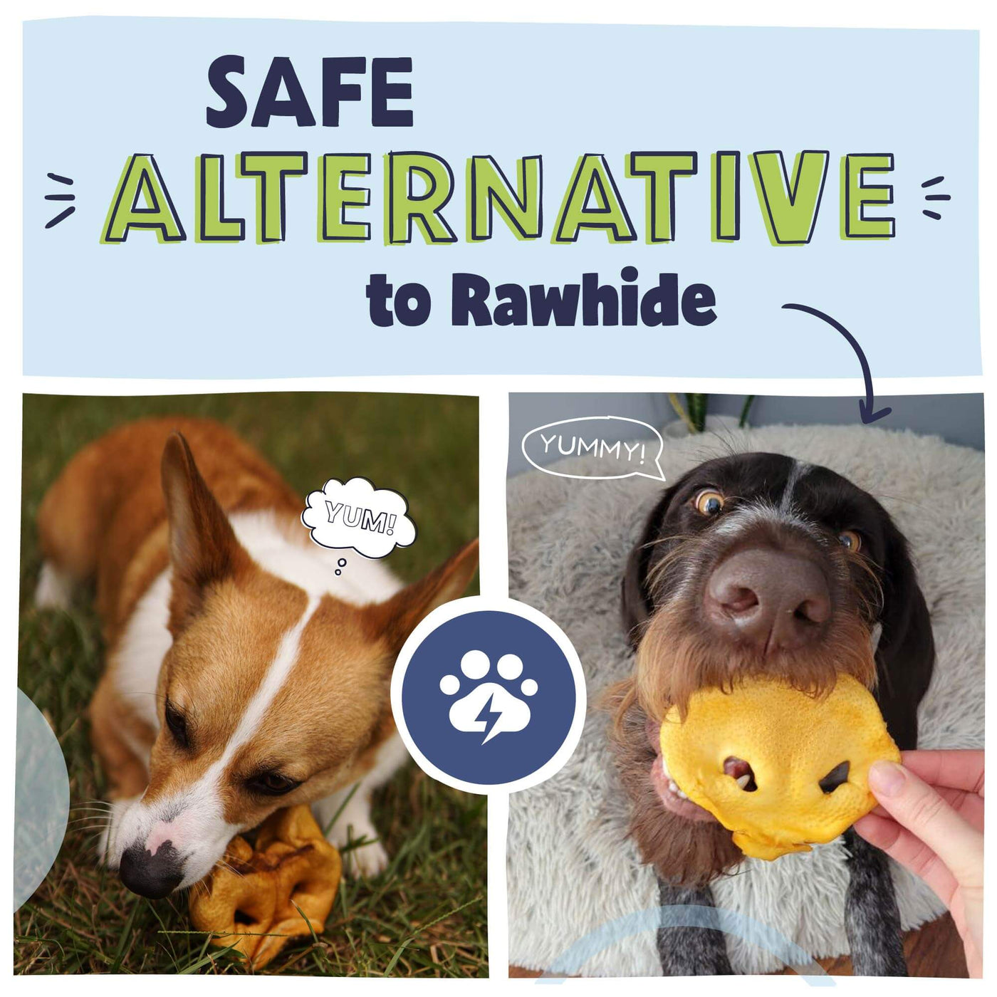 Advertisement with two dogs with pig snout treats and its a safe alternative to rawhide