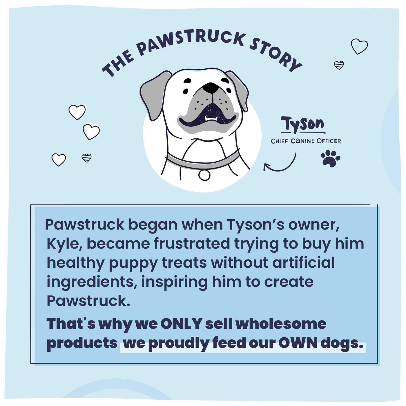 Pawstruck story with Tyson, Chief Canine Officer, on a light blue background