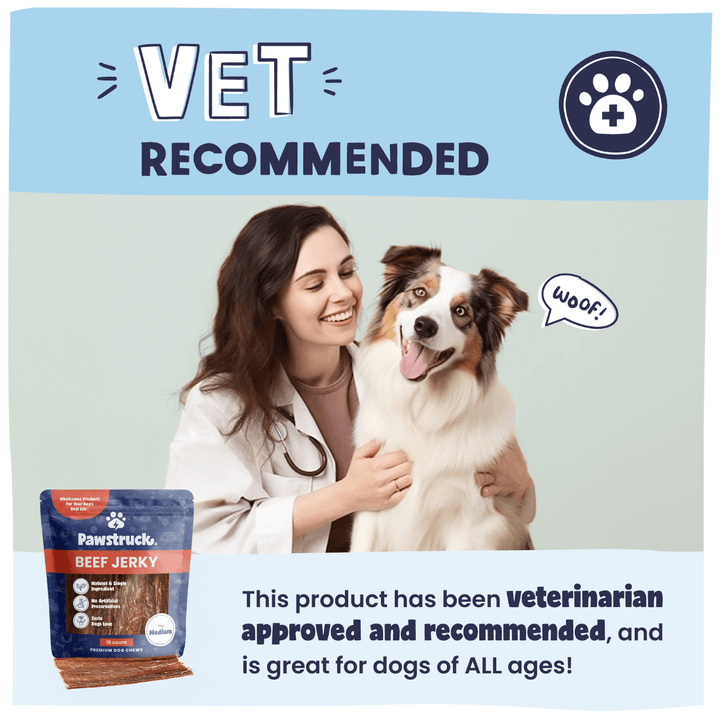 Vet-recommended Pawstruck beef jerky dog treats advertisement featuring smiling female veterinarian holding happy brown and white dog with "Woof!" speech bubble