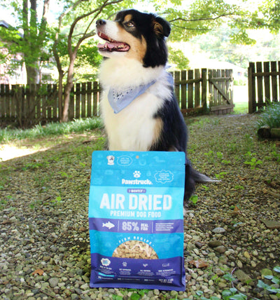 Black and white dog in a yard with a blue bag of Air Dried Premium Dog Food