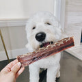 An adorable pup receiving a Pawstruck Beef Jerky Joint Health Treat