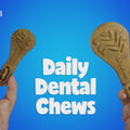 Video commercial of the Pawstruck Daily Dental Chew Brush  video