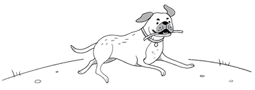 Line drawing of a happy dog running with a stick in its mouth across grassy ground