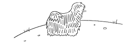Line drawing of a long-haired dog, possibly a Bearded Collie or similar breed, standing on grassy ground