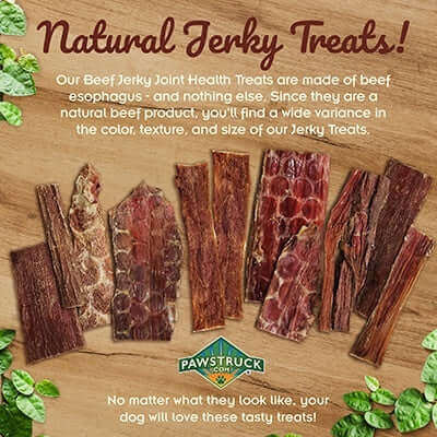 Beef Jerky Joint Health Treats (Large, 9"-10" Strips)   