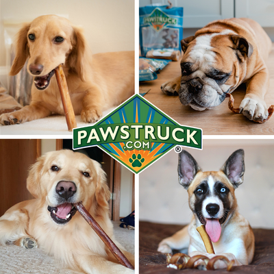 Pawstruck Pack Subscription Box   