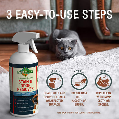 Professional Strength Stain & Odor Remover   