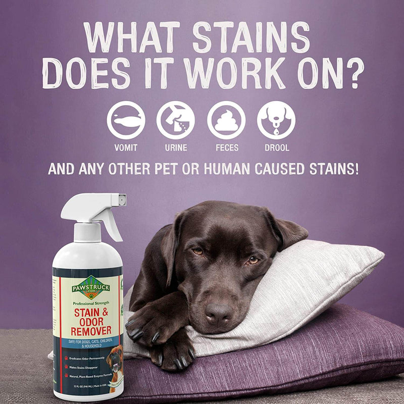 Professional Strength Stain & Odor Remover   