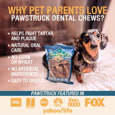 Pawstruck Daily Dental Chew Brush   