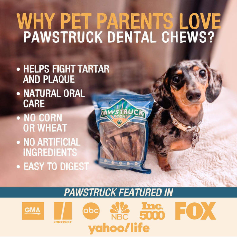Pawstruck Daily Dental Chew Brush   