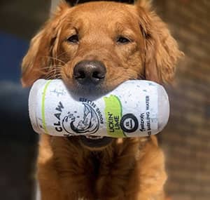 A dog posing with their Pawstruck Pup Claw Dog Toy