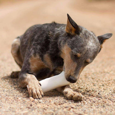 Beef Filled Dog Bones (Large)   