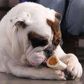 Large Filled Dog Bone Variety Pack   