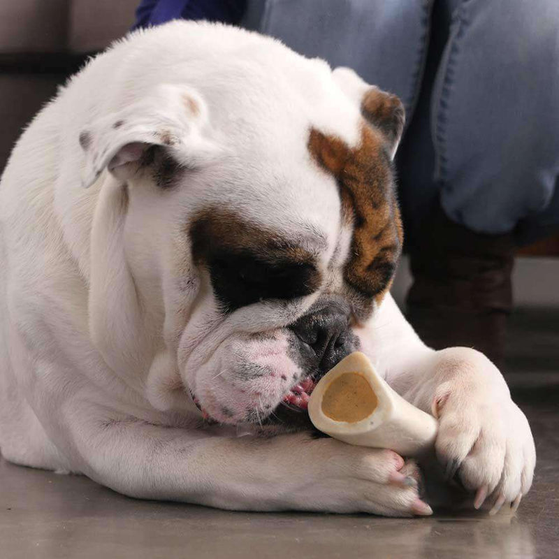 Small Filled Dog Bone Variety Pack   